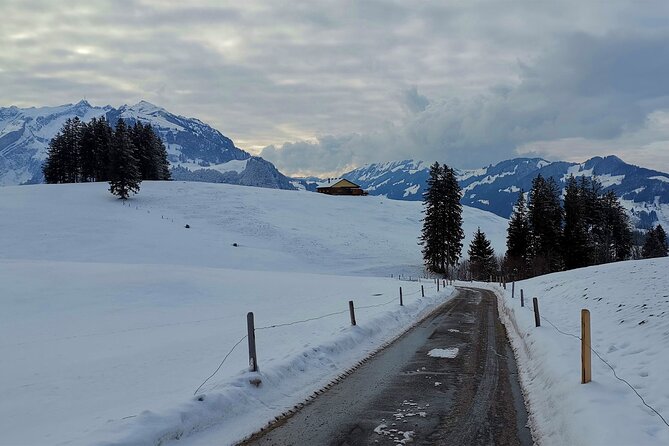 All Inclusive Rhine Falls and Appenzell Private Day Tour from Zurich - How the 8-Hour Flow Works on a Real Day