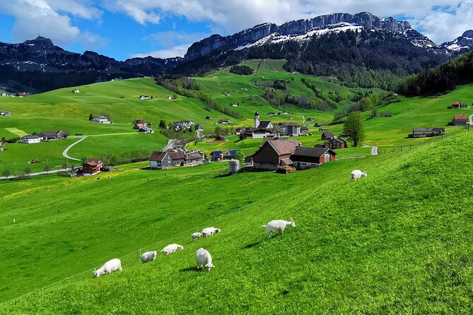 All Inclusive Rhine Falls and Appenzell Private Day Tour from Zurich - Should You Book This Zurich to Appenzell Private Day Tour?