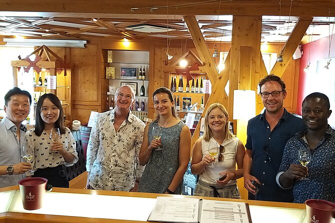 Alsace wine tour and medieval villages. Small group guided tour - Key highlights you can plan around