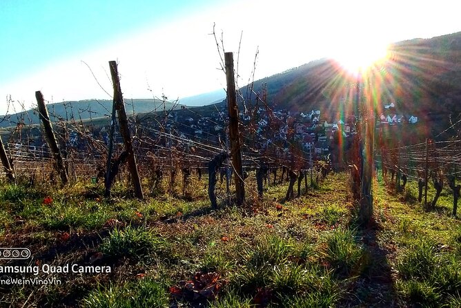 Alsace wine tour and medieval villages. Small group guided tour - How the guide shapes the whole experience (Colin as a key example)