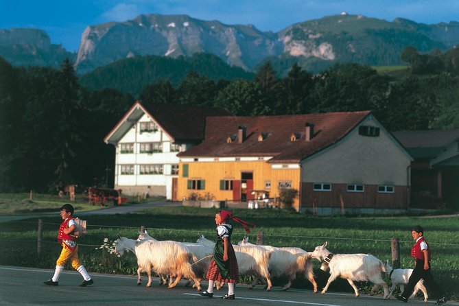 Appenzell Alps Day Trip from Zurich - Farm Life & Cheese Tasting - Appenzeller Schaukaserei: cheese cellar scale and the tasting payoff