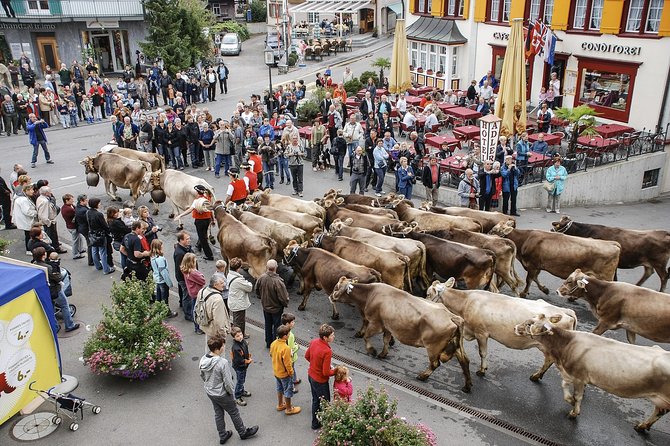Appenzell and Liechtenstein Tour from Zurich - Why Appenzell and Liechtenstein fit well into a Zurich day