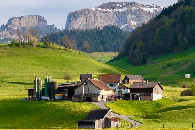 Appenzell Cow milking experience from Zurich with alpine scenery - Key highlights you should care about