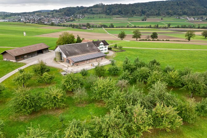 Appenzell Cow milking experience from Zurich with alpine scenery - Stop 4: Wangi family farm milking, feeding, and farm fondue