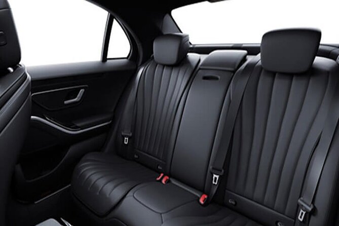 Arrival from Basel Airport BSL to Basel City by Luxury Vehicle - Tips to keep pickup smooth with luggage and contact details