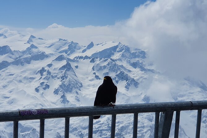 Attraction Ticket: Mt. Titlis by Train and Cableway from Lucerne - What About the Ice-Flyer?