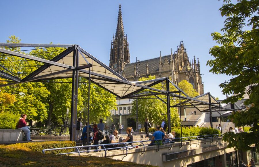 Basel: Express Walk with a Local in 60 minutes - The value of a local-led Basel walk that fits real schedules