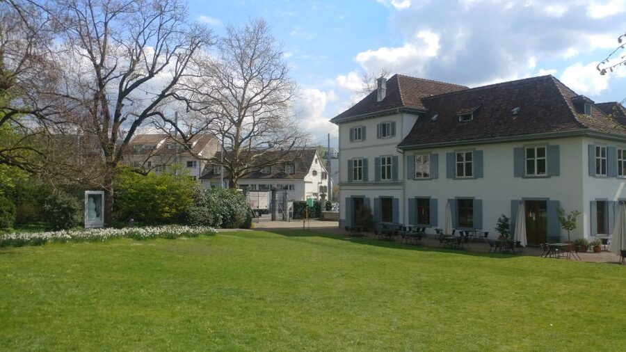 Basel: Private Walking Tour with a Local Guide - Languages and Choosing the Right Guide Support
