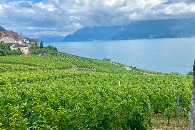Bern Private Tour - Gruyères , Cheese, and Lavaux's UNESCO Wine - La Maison du Gruyère: the cheese workshop that actually teaches