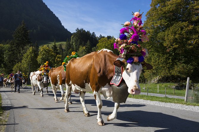 Berne the Capital and Cheese paradise Emmental (Private Tour) - Private Guide Time: How You Turn a Day Trip Into a Tailored Experience