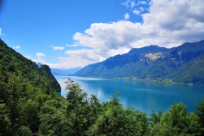Best of Bernese Oberland from Basel - Key highlights at a glance