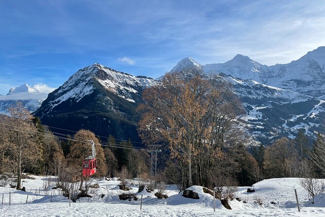 Best of Bernese Oberland & Swiss Countryside Tour (Private Tour) - A Private Mercedes Day Trip That Still Feels Relaxed