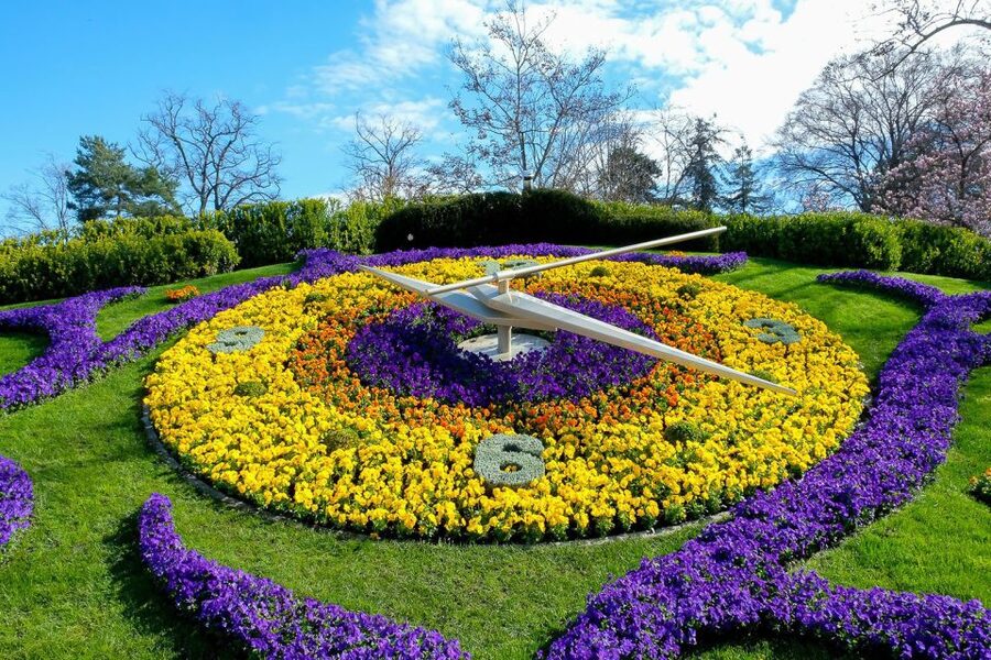 Best of Geneva City Tour: International Area and Old Town - Comfort, Hearing, and Practical Tips for a Smoother Ride