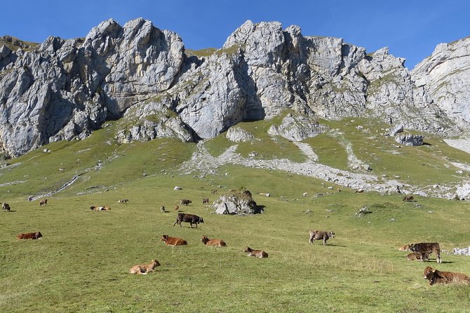 Best of the Uri Alps: A fjord-like lake, glorious peaks and sustainable tourism - Why the Uri Alps feel different from a standard Lucerne day trip