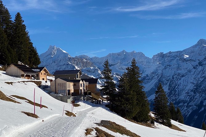 Best of the Uri Alps: A fjord-like lake, glorious peaks and sustainable tourism - When the postal bus replaces the gondola, you still reach the remote feel