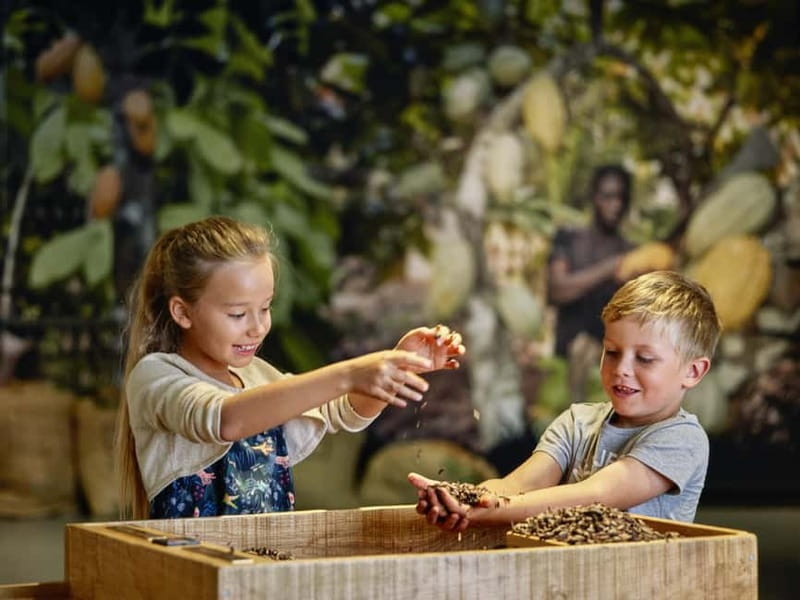 Broc: Entry ticket to the Maison Cailler chocolate factory - Should You Book the Broc Maison Cailler Factory Ticket?