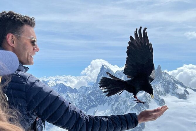 Chamonix Mont-Blanc Full Day Guided Tour - Mer de Glace: Cogwheel Train to the Largest Glacier of France
