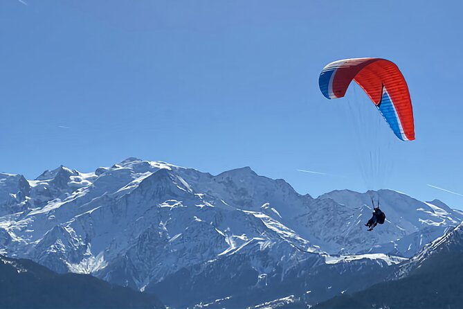 Chamonix Mont-Blanc Full Day Guided Tour - Price and Ticket Value: Does It Make Sense for About $131?
