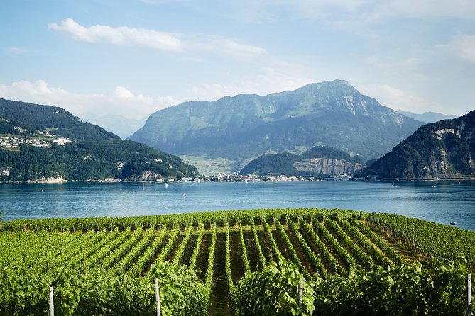 Chocolate, Cheese and Wine Tour in Luzern region - Chocolatiers and chocolate factories: how to get more out of the tasting