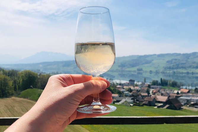 Chocolate, Cheese and Wine Tour in Luzern region - Price and value: what $879.41 gets you, and where costs may add up
