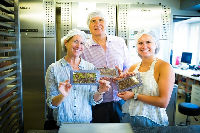 Chocolate Tasting with Lake Trip and City Tour: The Ultimate Lucerne Experience - Luzern Altstadt on foot: Chapel Bridge, Lion Monument, and Lucerne Castle