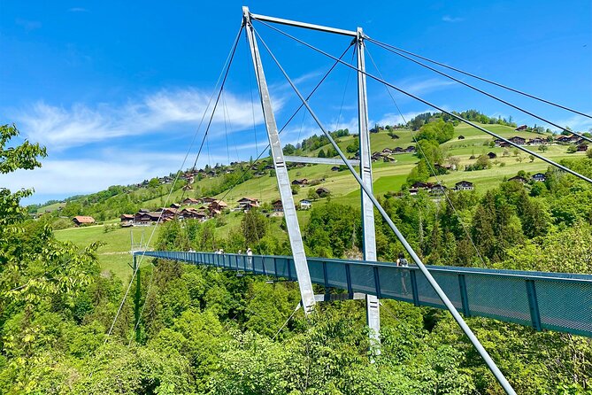 Crash Landing on You Private Switzerland Day Tour from Zurich or Lucerne (CLOY) - Price and value: what you are paying for (and what you are not)
