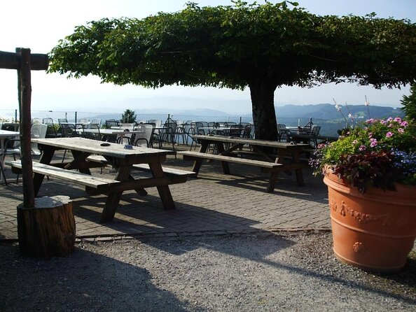 Culinary Tour from Zurich with Traditional Swiss Cheese Fondue Dinner - Key highlights worth planning for