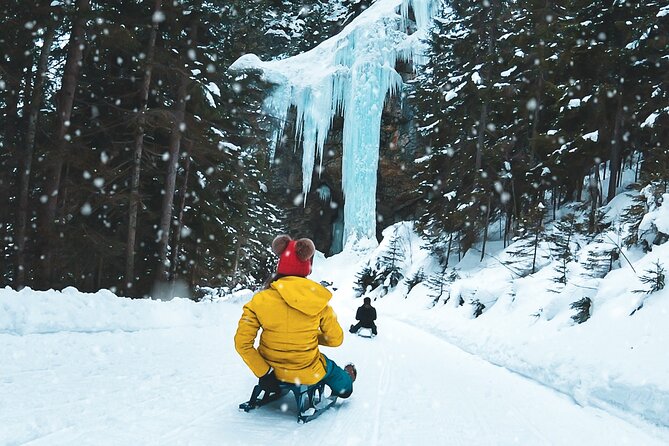 Day Sledding in Interlaken - Key points to know before you go