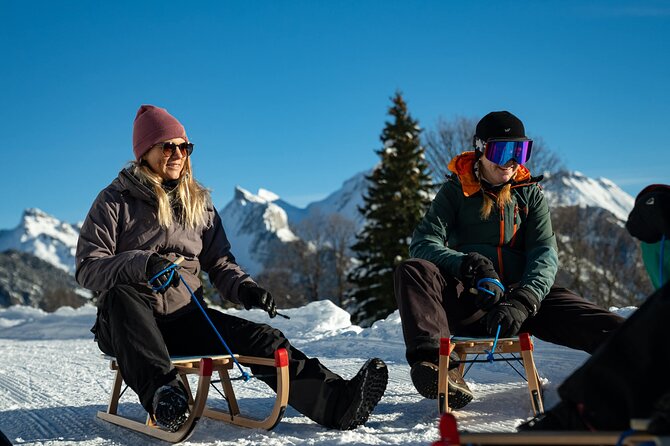 Day Sledding in Interlaken - What you need to wear: the tour gives the sled, you bring the heat