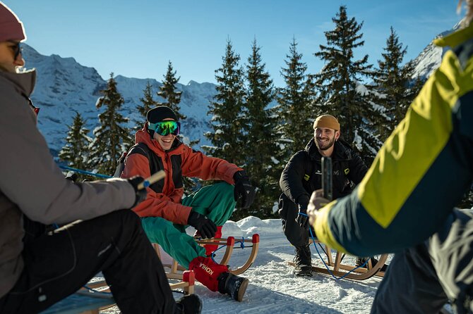 Day Sledding in Interlaken - Guides set the vibe: smooth operations, photo stops, and clear rules
