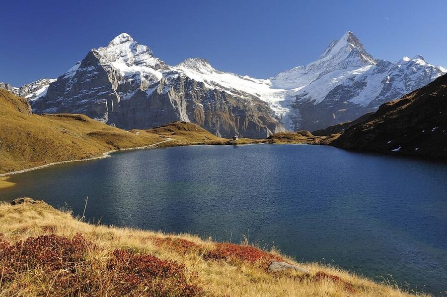 Day trip from Lucerne to interlaken and Grindelwald - Quick hits you will feel right away