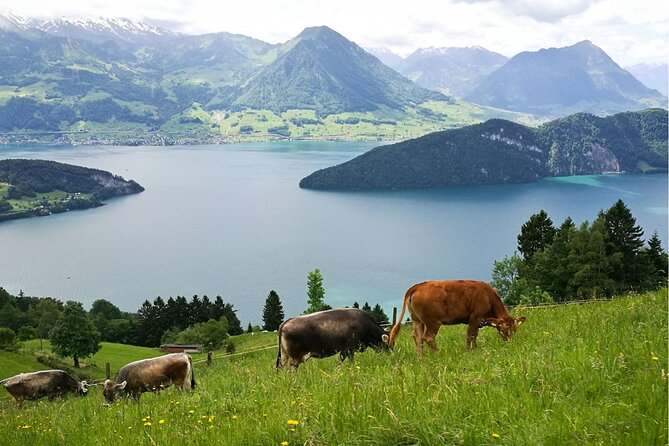 Day Trip to Lucerne and Mt. Rigi with a local from Zurich - Why Lucerne and Mt Rigi are a smart day-trip combo from Zurich