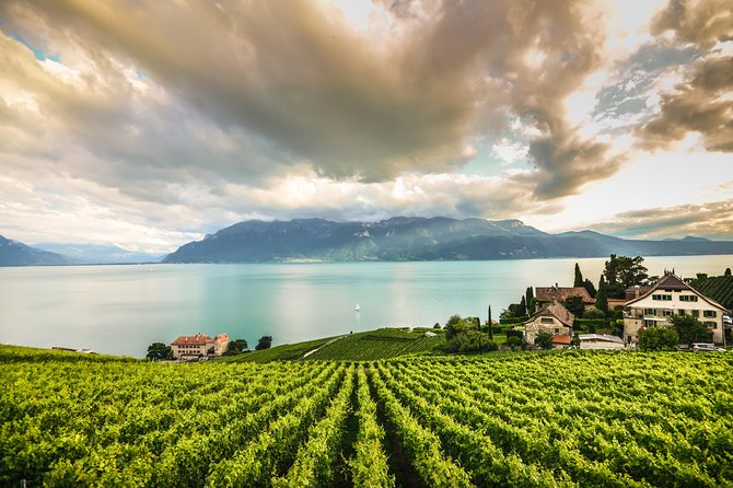 Day Trip to Montreux, Chaplin's World & Chillon Castle& apéritif - Lausanne Quick Photo Stop and Olympic Museum Context