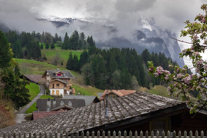 Daytrip to Swiss Villages: Interlaken Grindelwald & Lauterbrunnen - Stop 3: Interlaken’s Guided Walk Plus Real Free Time