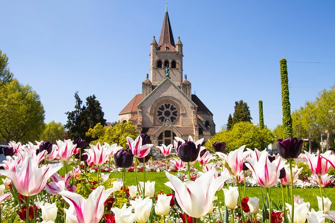 Discover Basel’s most Photogenic Spots with a Local - A Photo Walk That Makes Basel Feel Understandable Fast