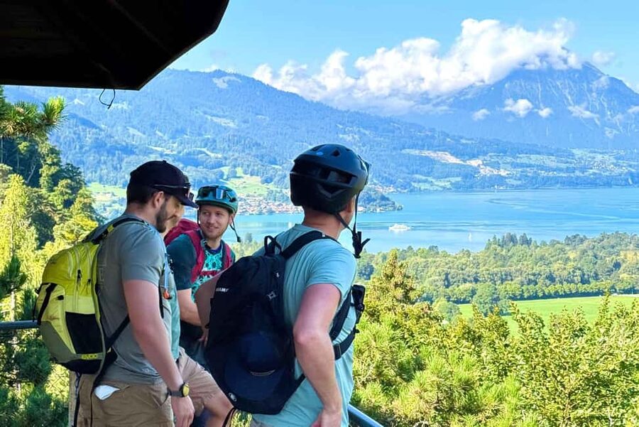 Discover Interlaken E-Bike Tour - Lakes Ruins and Views - Why this Wilderswil-to-lakes circuit feels like the right kind of Swiss day