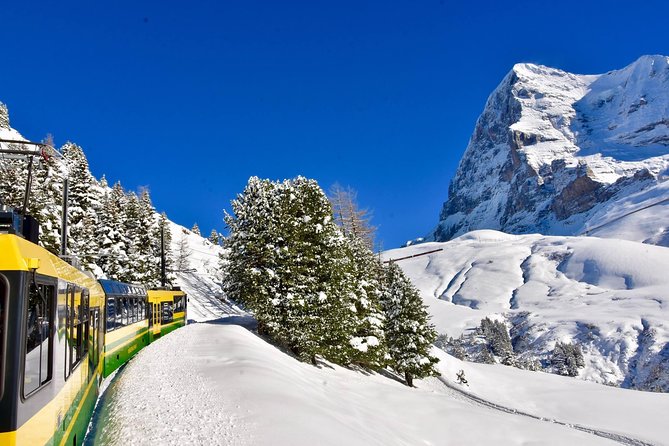 Eiger and Jungfrau Glacier Panorama Tour from Zurich - The guide experience: why it can feel great or stressful