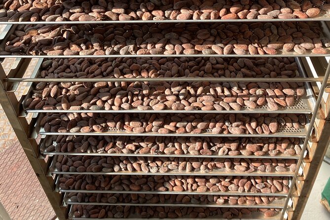 Ethical Chocolate Tour - Stop 2 in Wollishofen: Observing Bean-to-Bar Production and Sampling More