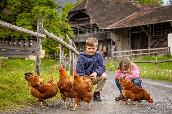 Experience Switzerland in the Ballenberg open-air museum - What you actually see: Swiss buildings, real farm-life details, and daily crafts