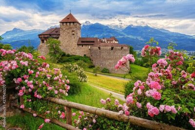 Explore 4 Countries in a Day: Liechtenstein,Austria,Swiss&Germany