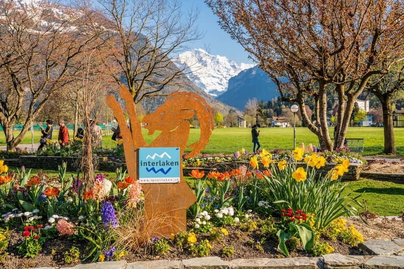 Explore Swiss Villages: Interlaken-Grindelwald(Private Tour) - Grindelwald cobblestone streets and older Swiss sights with big mountain views