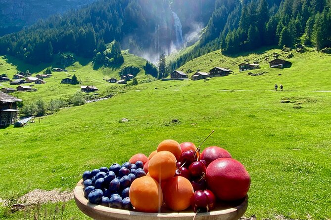 Flavours of Switzerland Luxury Private Tour from Zurich & Lucerne - Lucerne Optional Finish: Old Town, Chapel Bridge Views, and Your Choice