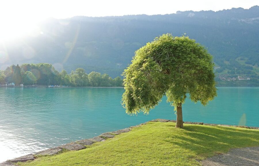 Free-Day in Interlaken Village from Lausanne - Key highlights for a smart Interlaken free day