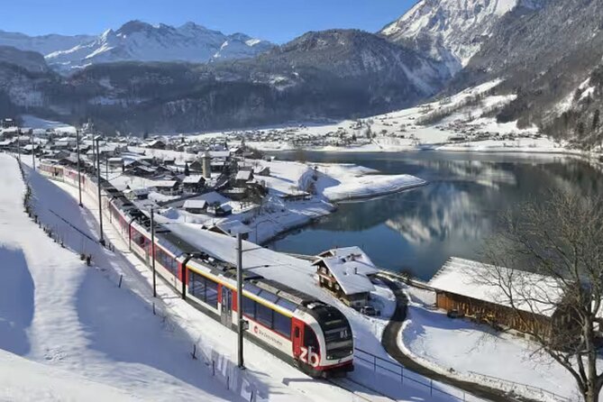 From Basel: Premium Panoramic train, Lucerne & Interlaken Tour - Key things to know before you go