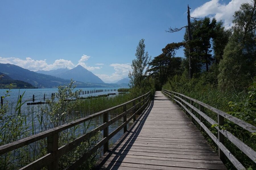 From Geneva: Full-Day Trip to Interlaken - From Geneva to Interlaken, what this long day really looks like