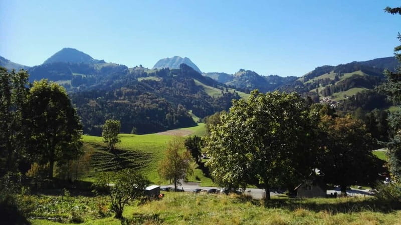 From Geneva: Gruyères Tour with Cheese & Chocolate Factories - Who This Tour Fits Best, and Who Should Rethink It