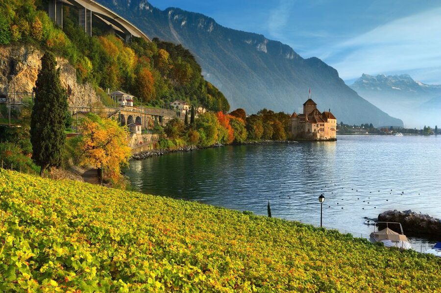 From Geneva: Swiss Riviera Private Tour - Geneva To Lausanne, Corsier, Lavaux, Montreux: The 9-Hour Flow