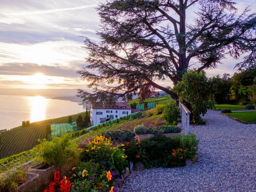 From Geneva: Swiss Riviera Private Tour - Montreux Free Time: A Glamour-Laced Promenade Break
