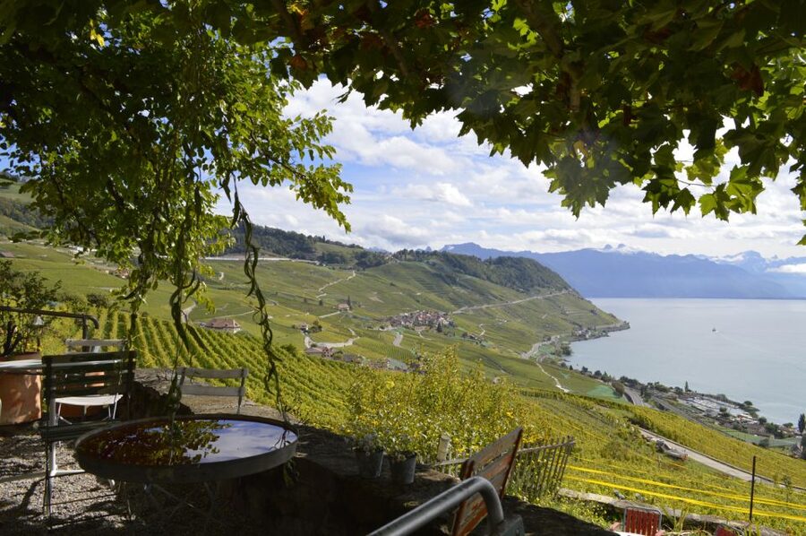 From Geneva: Swiss Riviera Private Tour - Best Fit: Who Will Enjoy This Most