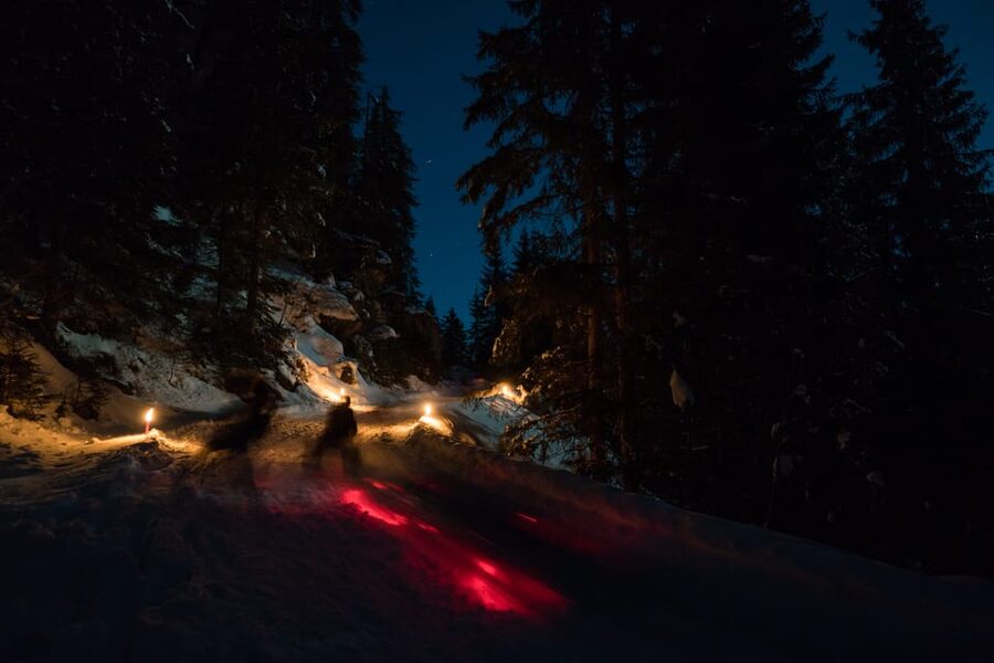 From Interlaken: Night Sledding - Price and Value: Is $166 Worth It for Swiss Alps Night Thrills?